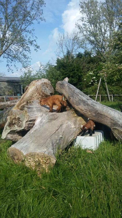 Boerenskuur De Bedstee Groen Assendelft Zewnętrze zdjęcie