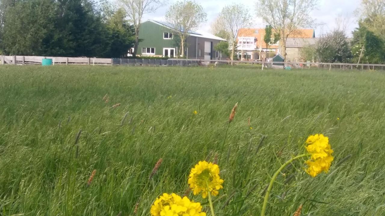 Boerenskuur De Bedstee Groen Assendelft Zewnętrze zdjęcie